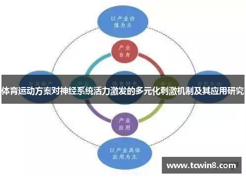 体育运动方案对神经系统活力激发的多元化刺激机制及其应用研究